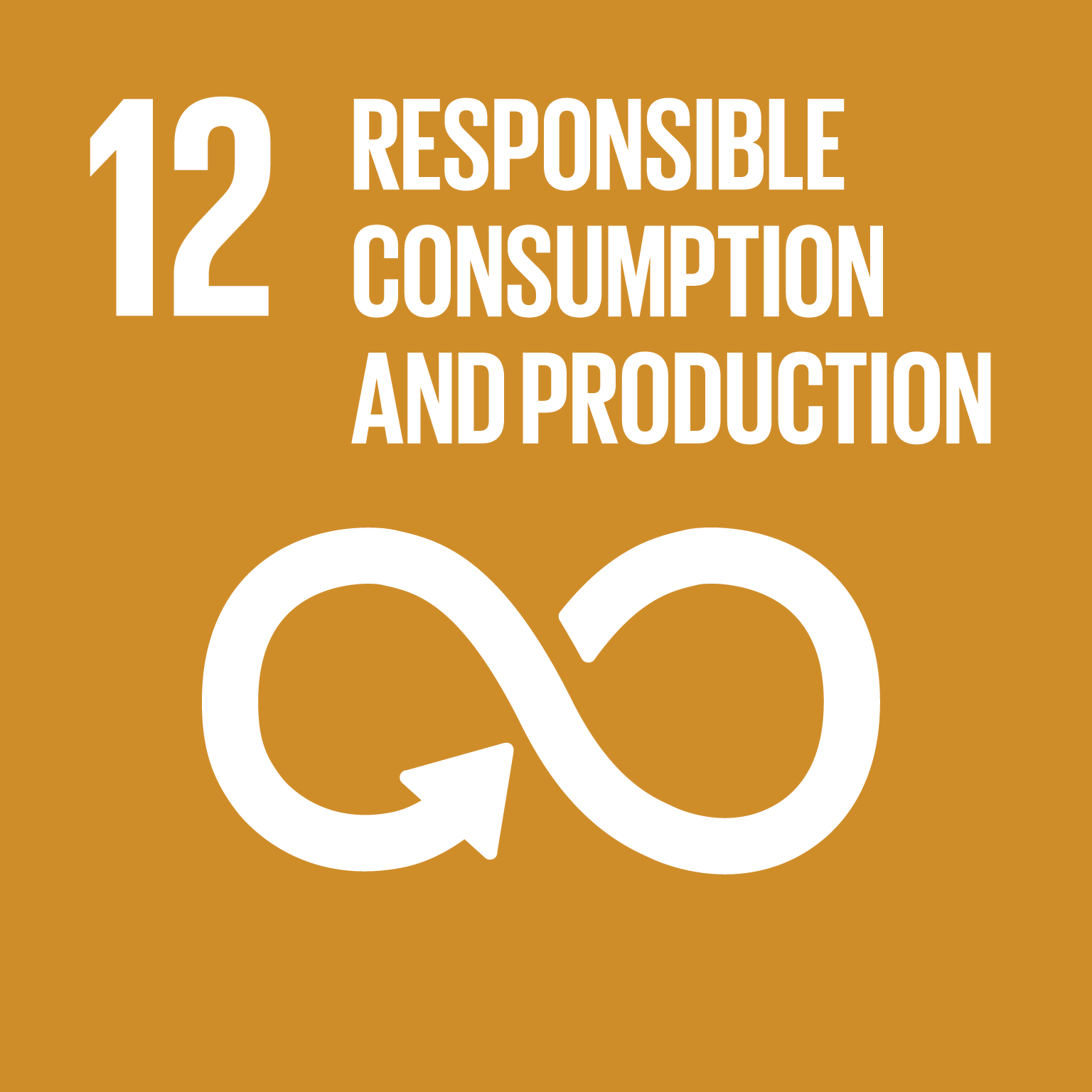 Goal 12 RESPONSIBLE CONSUMPTION AND PRODUCTION