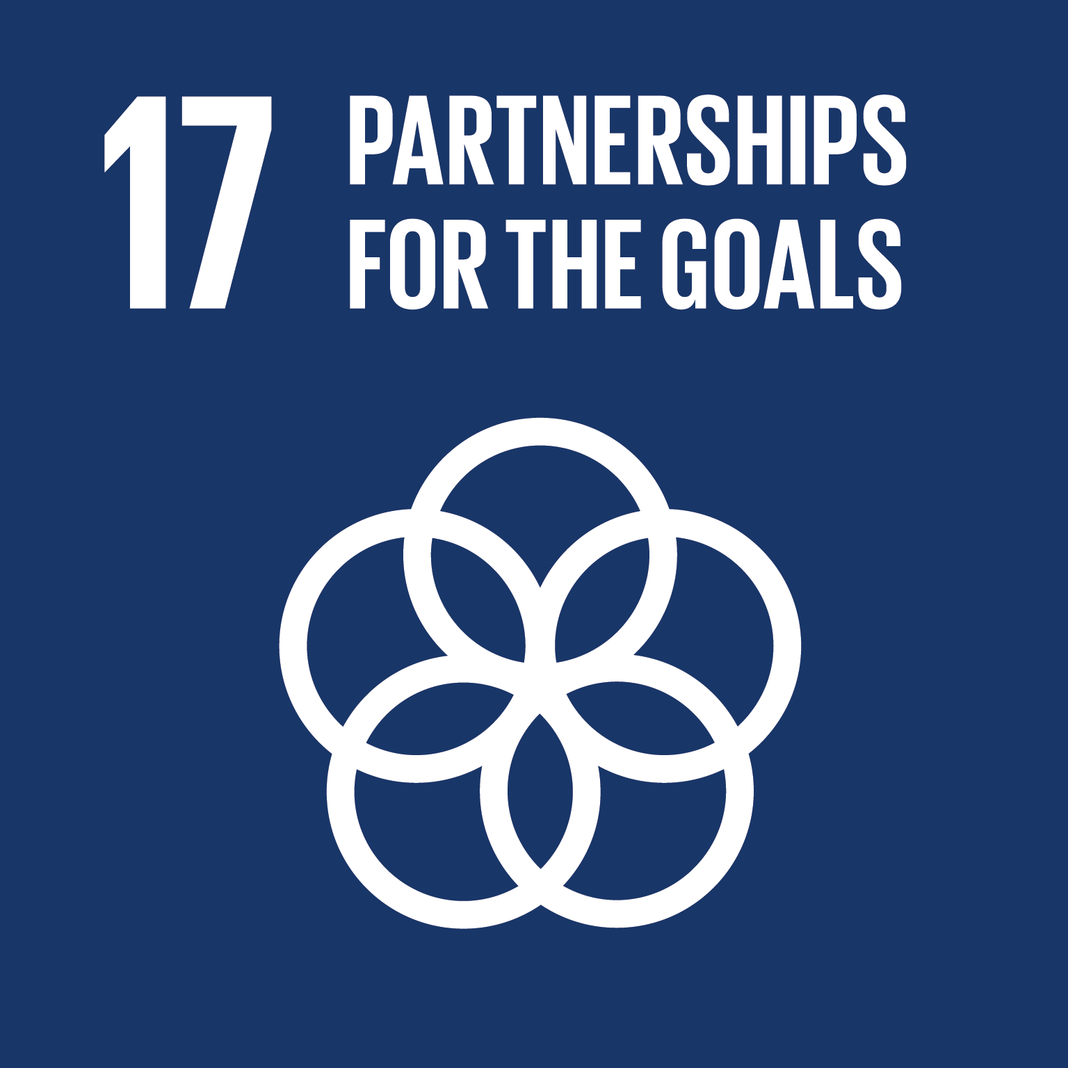 Goal 17 PARTNERSHIPS FOR THE GOALS
